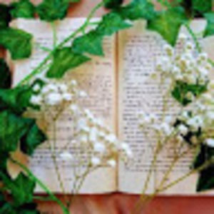 Meet your Posher, Kayle